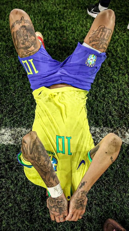 林诗栋和张本智和同区 向鹏和雨果同区 梁靖崑会在下半区